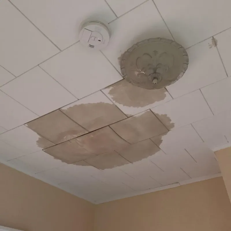 Ceiling Water Damage Repair in Wolfe City, TX