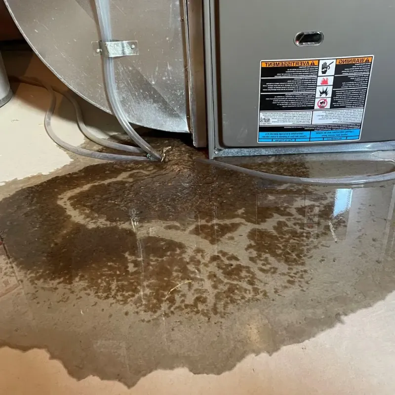 Pipe Burst and Leak Restoration in Wolfe City, TX