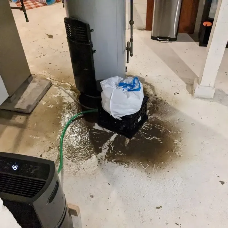 Sewage Backup Cleanup Service in Wolfe City, TX